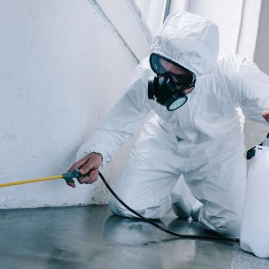 Termite exterminator in Anaheim providing professional termite inspection and treatment